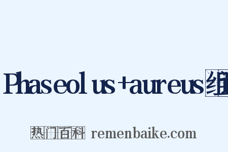 Phaseolus+aureus组词是什么意思的图片